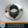 Quality products SS 304 stainless steel pipe fitting flange